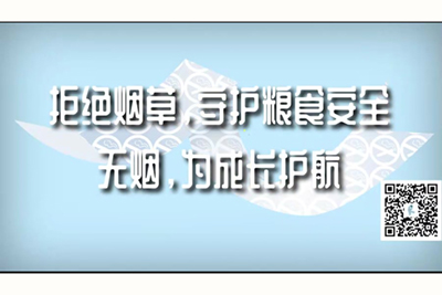 鸡巴插鲍鱼片免费看污污拒绝烟草，守护粮食安全